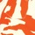 Orange Zebra