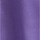 Aster Purple