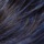 Off Black Blue