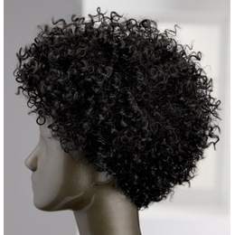 Sharon Wig, Jet Black, large