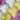 Quanda Double Collar Fit-and-Flare Dress, Purple Multi, swatch
