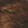 Medium Dark Brown Honey Blonde Copper Blonde