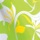 Green Abstract Floral