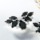 Black Silvertone