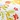 Patio Chair Cushion, Femi Floral, swatch