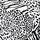 Black White Multi