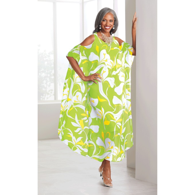 Adesida Overlay Dress, , large