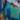 Afrocentric Printed Scarf, Blue Multi, swatch