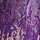 Purple Jacquard