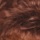 Dark Auburn