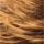 Dark Brown Honey Blonde