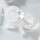 Clear Bow Silvertone