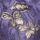 Purple/Gold