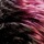 Off Black Burgundy