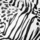 Zebra Black White
