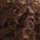 Copper Blonde