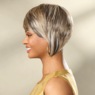Dorinda Clark-Cole Ashley Human Hair Blend Wig, , large