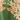 Blare Long Caftan for Women, Dark Olive, swatch