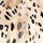 Ivory Multi