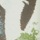 Green Brown Multi