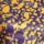 Purple Yellow