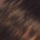 Medium Dark Brown Honey Blonde Frost