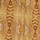 Yellow Ivory Multi
