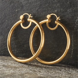 Sister Love Goldie Hoops, , large