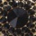 Black Crystal