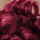 Dark Burgundy Wine