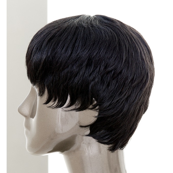Carrie Wig, , large