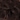Medium Dark Brown