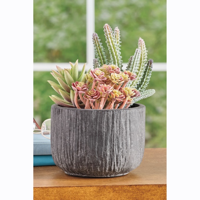 Succulents in Papier-M&acirc;ch&eacute; Pot, Green, large