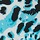 Blue Leopard