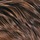 Medium Dark Brown Copper Blonde Hone Blonde