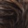 Medium Dark Brown Honey Blonde