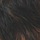 Off Black Copper Blonde