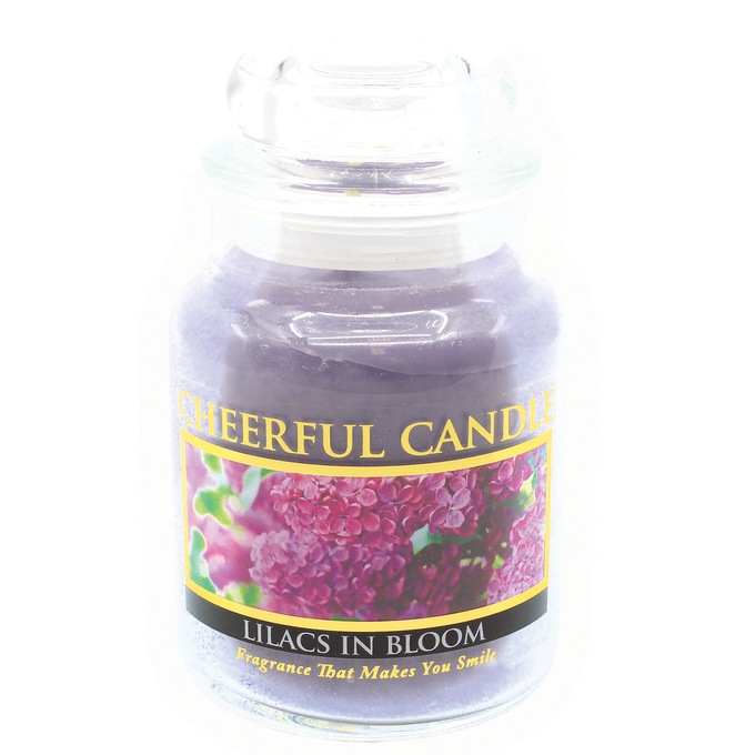 Cheerful Mini Jar Candle, , large