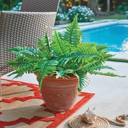 Outdoor Faux-Fern Pot Filler, , large