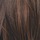 Medium Dark Brown Honey Blonde Frost