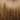 Vivica Fox Lucy Short Wig, Medium Dark Brown Honey Blonde Copper Blonde, swatch